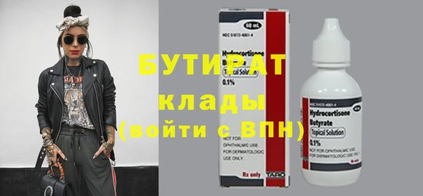 шишки Бородино