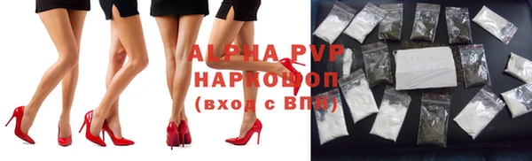 сатива Верея