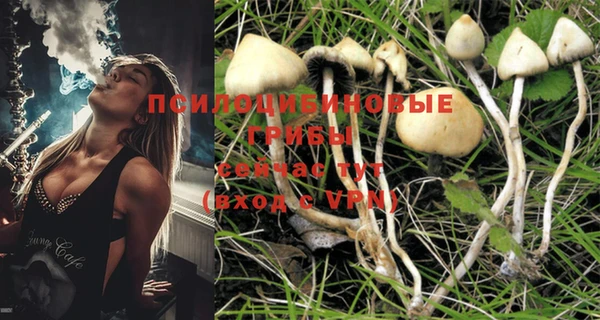 PSILOCYBIN Верхний Тагил