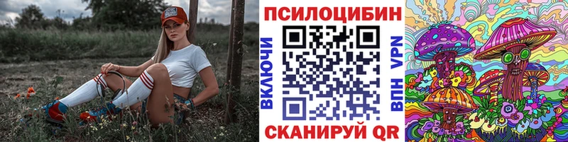 Галлюциногенные грибы GOLDEN TEACHER Могоча
